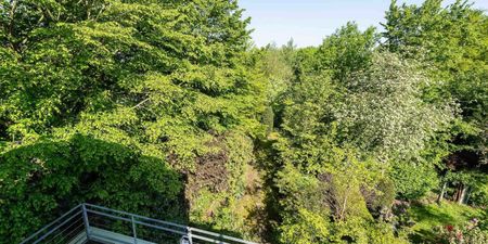 Woning te huur in Sint-Agatha-Berchem voor € 2.750 met 3 slaapkamers - Photo 4