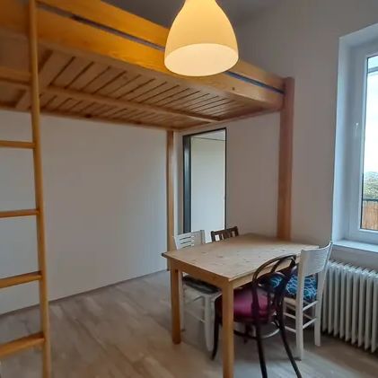 Pronájem bytu 1+1, 45 m - Photo 1