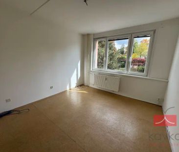 Pronájem bytu 1+1, 43 m - Fotografie 6