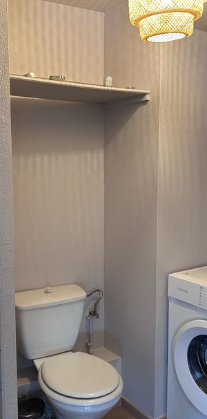 Location Appartement 1 pièce 22m² ILLZACH 68110 - Photo 1