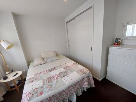 Furnished One Bedroom One Bathroom Parnell - Photo 4