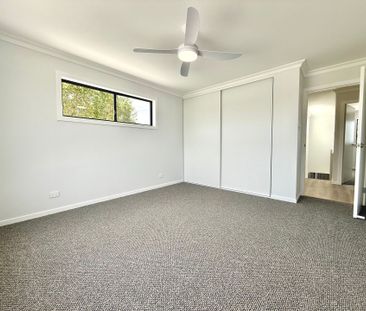 Stylish New Build in Sought-After Taree West - Photo 4