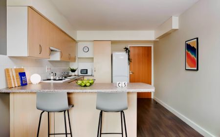 Silver Ensuite - Single Occupancy - Photo 4