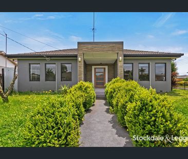 Fresh As A Daisy - Photo 4