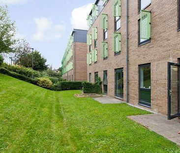 1 bedroom in a flat share to rent - Photo 3