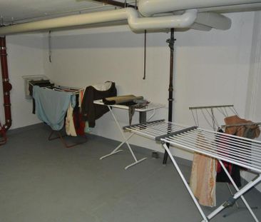 Schönes helles Apartment in gepflegter Anlage Bonn Beuel zum 1.2. - Photo 1