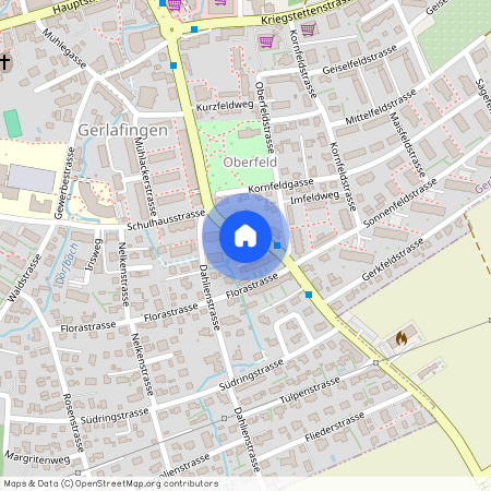 4563, Gerlafingen, Obergerlafingenstrasse, 34