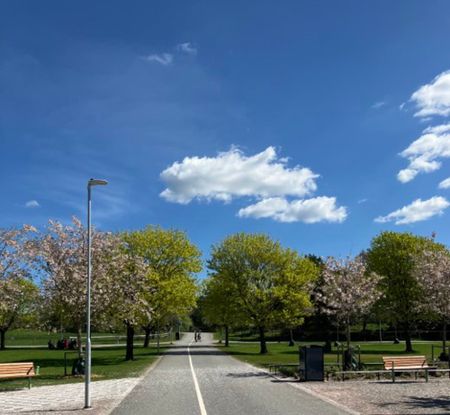 Albert Engströmsgatan 31, 75430, Uppsala - Photo 2