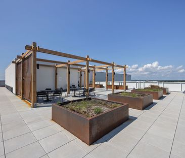 For Lease - 652 Princess Street Unit# 223, Kingston, Ontario - Photo 5