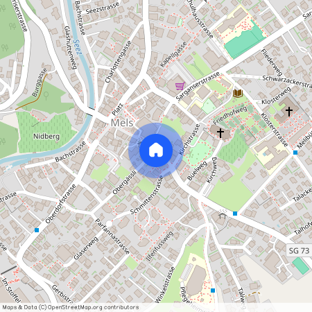 Wangserstrasse 16, 8887 Mels