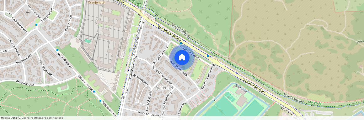 Van Alkemadelaan 1060, 2597BJ, 'S-Gravenhage