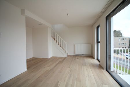 Apartments To Let 3 bedrooms direcly with the owner - Photo 5