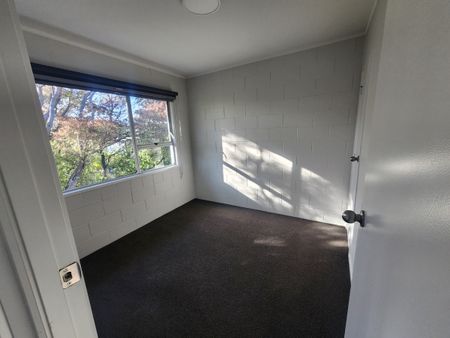 3/15 Trojan Crescent, New Lynn - Photo 2