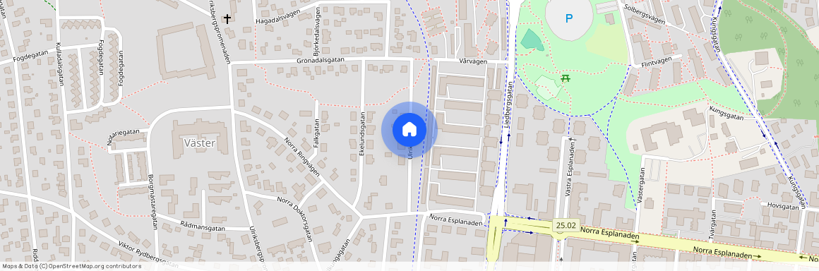 Ulriksdalsgatan, Växjö