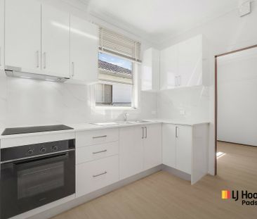 Refreshed 3-Bedroom Home - Photo 3