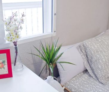 Carrer del Doctor Vicente Pallarés, Valencia, Valencian Community 4... - Photo 5