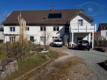 FOR RENT, fully renovated semi-detached house in Alle - Foto 4