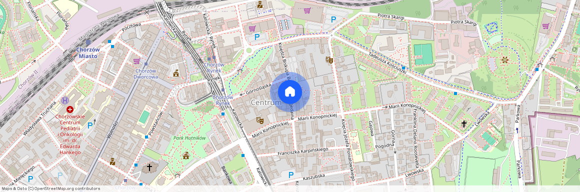 ul. ks. bp. Bernarda Bogedaina, Centrum, Chorzów, śląskie