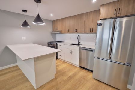 For Lease - 2069 Gough Avenue Unit# BASEMENT, London North, Ontario - Photo 3