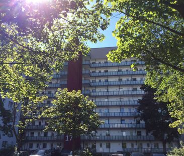 Beethovenstraße 17, 25337 Elmshorn OT Süd - Foto 5