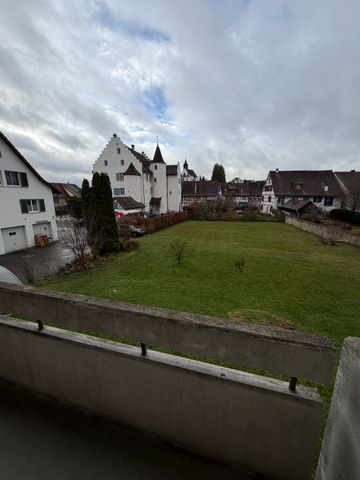 8462 Rheinau - Photo 3