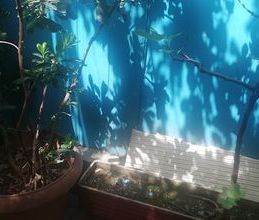 Διαμέρισμα για ενοικίαση - Καλαμαριά, - Photo 1