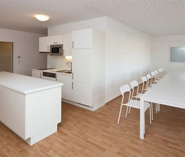 ST.PÖLTEN XVI/1 - Junges Wohnen - Photo 1