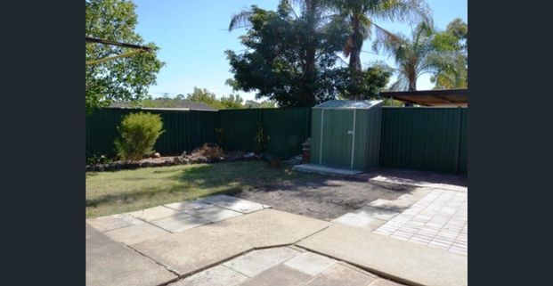 GREAT STARTER - Photo 1