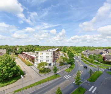 Sleutelbloem 4 - Photo 4