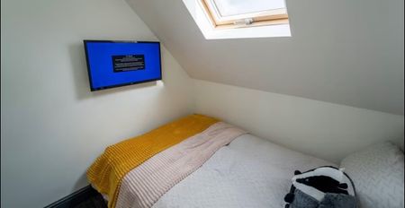 Studio Flat, Birmingham, B29 - Photo 4