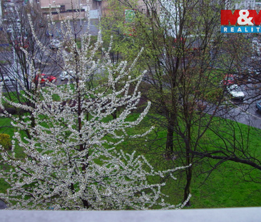 Pronájem bytu 2+1 87 m² - Photo 5