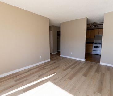 Airdrie Meadows - Photo 2
