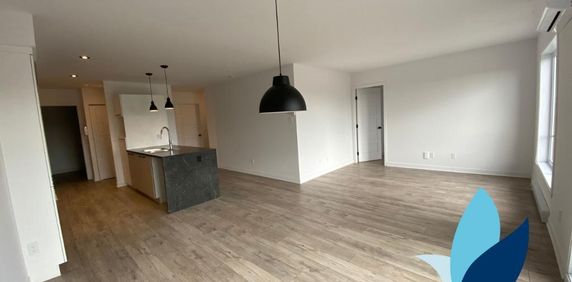 Logement 5 1/2 - Décembre 2024 - St-Jérôme - Photo 2