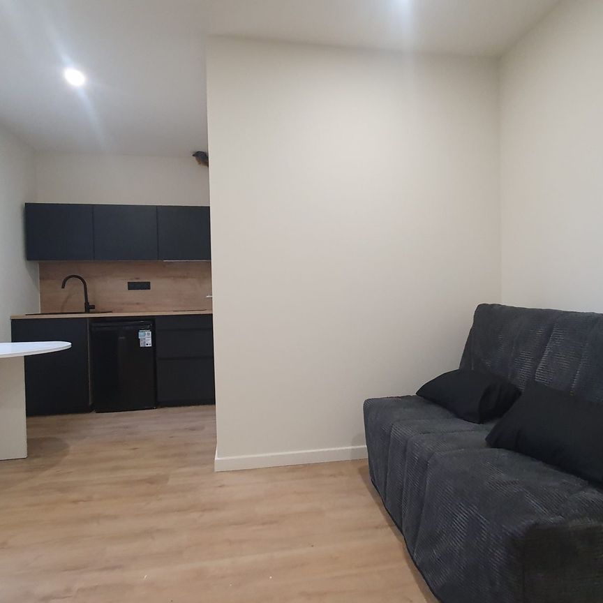 Location Appartement 1 pièce 20m² ALBI 81000 - Photo 1