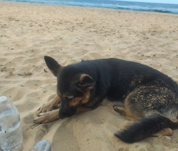 North Avoca - Photo 3