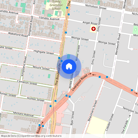 23A Willee Street, NSW 2135, Strathfield