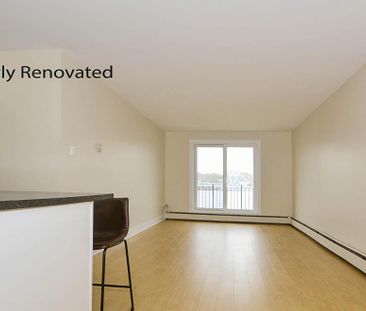 3 Dillman Place - Photo 1