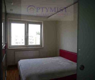 Warszawa, Mokotów, Grupy AK - Photo 1