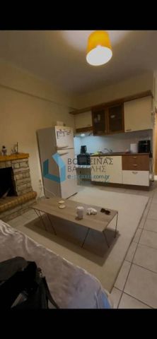 Studio/Γκαρσονιέρα για ενοικίαση Κέντρο (Ρίο) - Photo 4