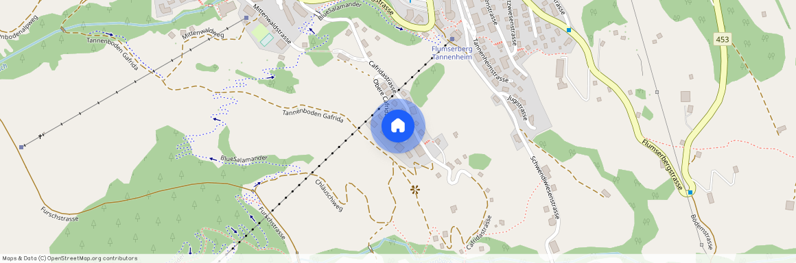 8897, Flums, Obere Cafridastrasse