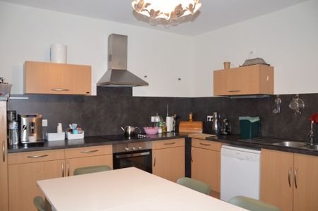 Location Appartement 3 pièces 98m² ALTKIRCH 68130 - Photo 4