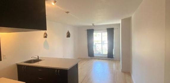 1 CH - 1 SDB - Montréal - $1,299 /mo - Photo 2