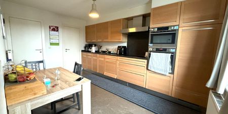 Duplex te huur in Deinze voor € 915 met 2 slaapkamers - Photo 4