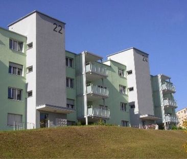 My apartment – my paradise - Foto 2