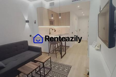 Madrid, Community of Madrid 28013 - Photo 5