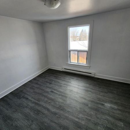 Grand 4 1/2 a louer ville de Granby - Photo 3