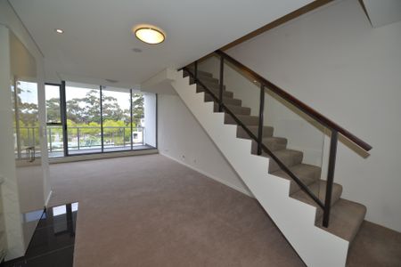 201/1 Lamond Lane, Zetland - Photo 2