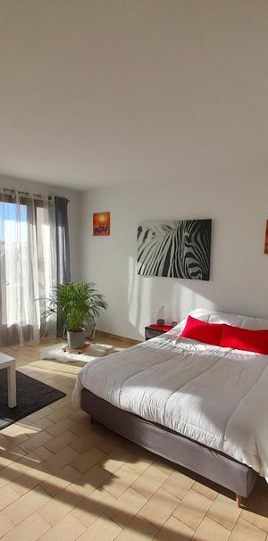 Location Appartement 1 pièce 25m² MARIGNANE 13700 - Photo 1