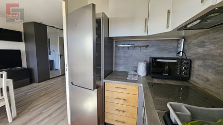 Location Appartement 1 pièce 33m² AVON 77210 - Photo 2