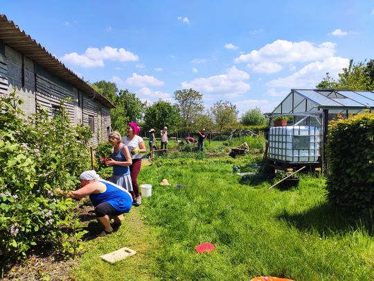 Gite in ecologische woongemeenschap De Groene Doening - Photo 1